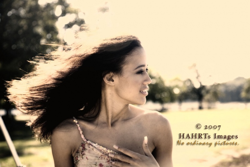 HAHRTs Images