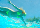 Timothy Nantz - Sunny Dae Underwater