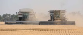 No One Famous - Combines Drag Racing