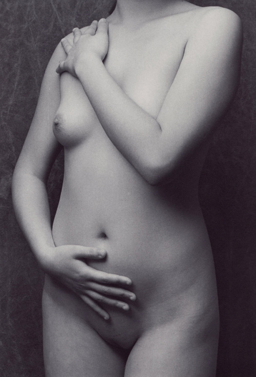 Joseph Di Sipio - Torso