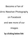 A-N Photography - Follow us on Facebook for updates