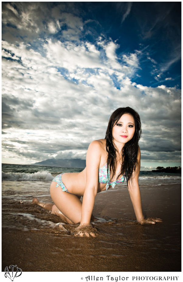 Allen Lee Taylor - Maui