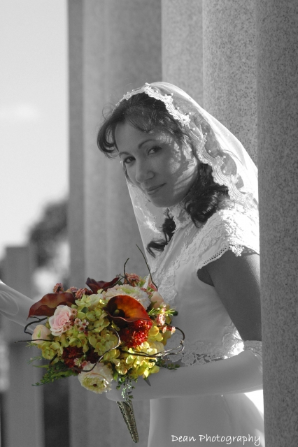 Sean Dean Photography