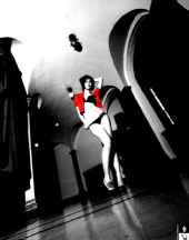 distilledream