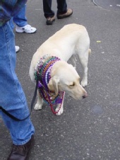 Fitzgerald Photography