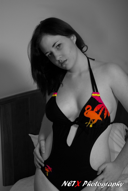 NETX Photos