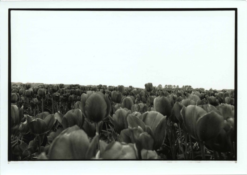 david oliver photo
