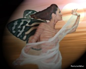 JOSE RAFFUCCI - butterfly