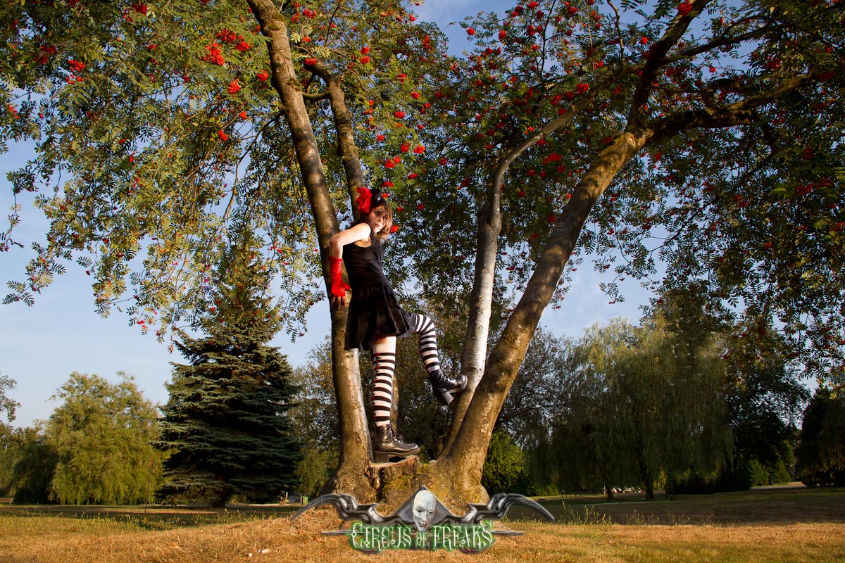 circusoffreaks - Juxtapose