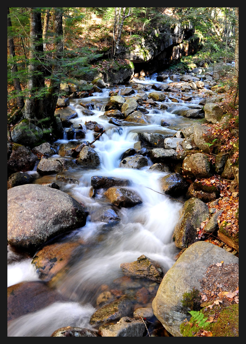 NH Photo Guy - Fall