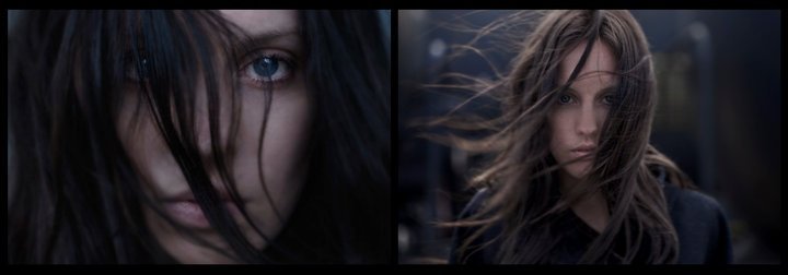 STEPHANIE ANN GREENQUIST