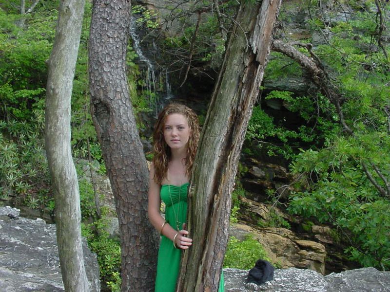 bluefebbaby - trees