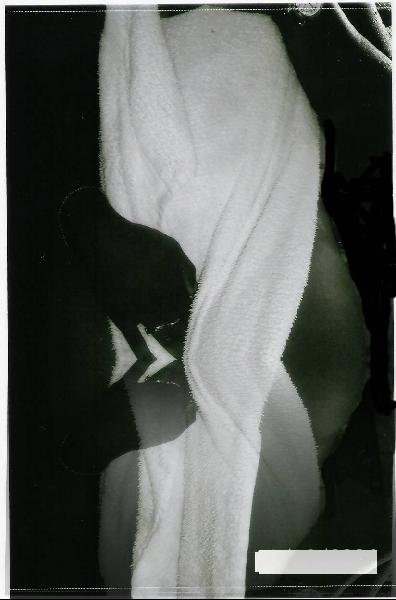 Alicia - what do you see?