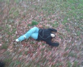 Ashley Twitchell - In the leaves