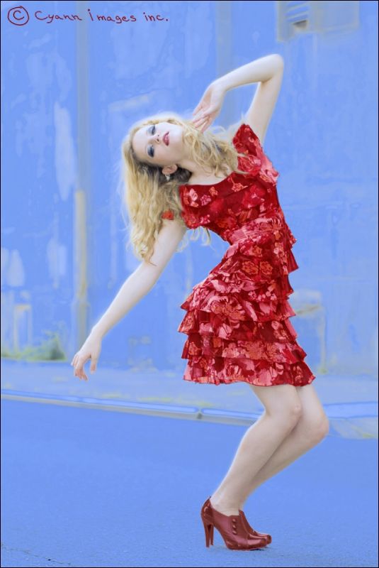 kellyn lindsay - Dress Nov 2008