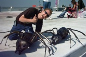 Eric Spudic - Eric on the set of THE GLASS TRAP