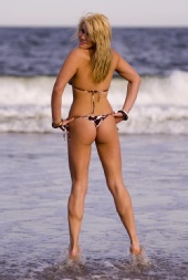 Meegan Delaney - nj shore