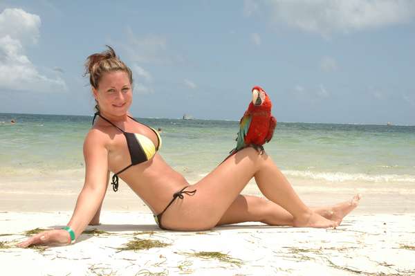 Mara - Punta Cana Paradise