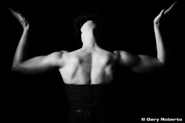 Mary Hamer - The Metallic Muse