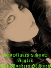 HeatherNicole - HeatherX 2008