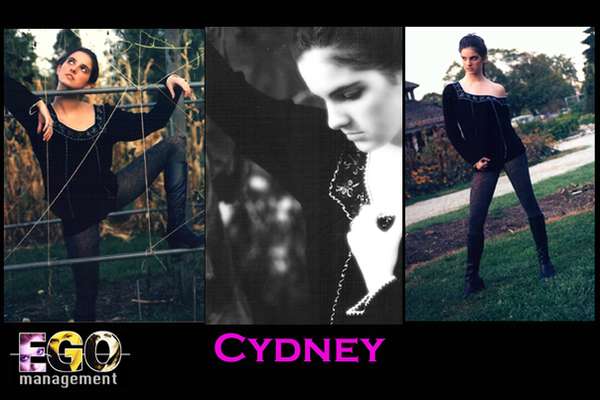 twirlsintwilight - Card