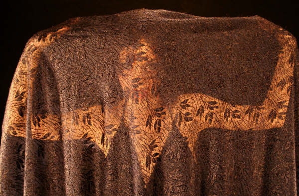 Faint Memory - January 27, 2007 True Vision Photography