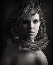 One Model