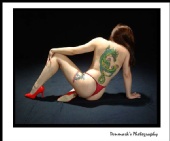 Painted Lady - Painted Lady