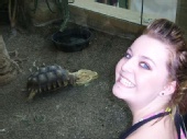 Mirrikh - turtle love