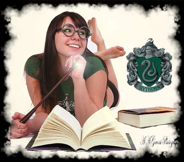 Ice House - Love Harry Potter