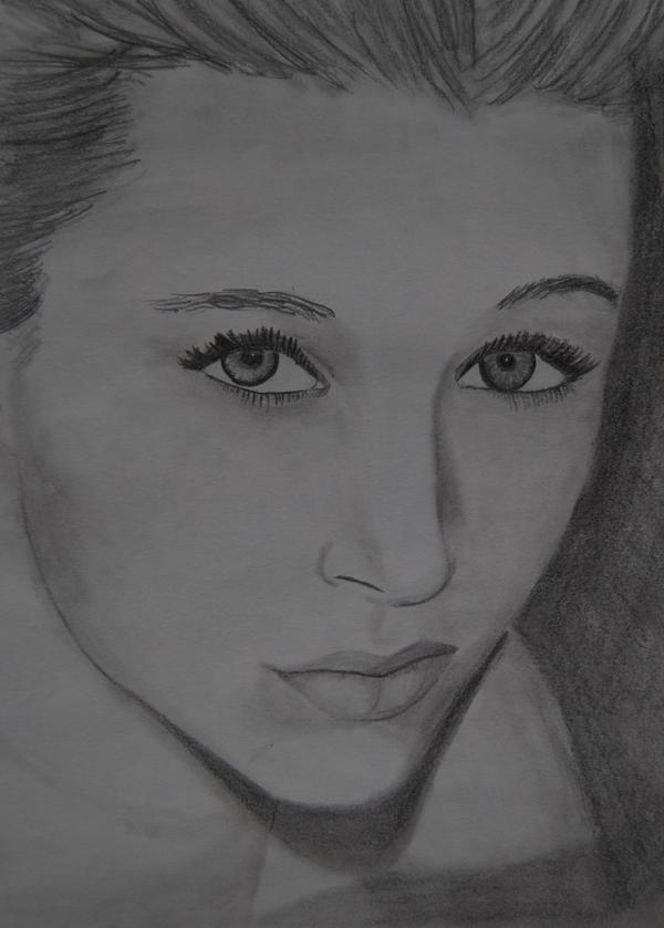 Cat - Charcoal Sketch