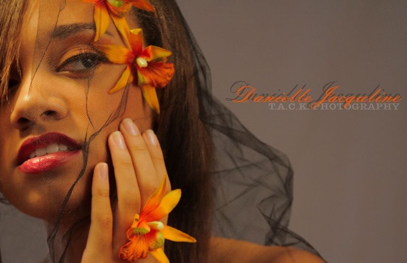 Danielle Jacquline - Into You