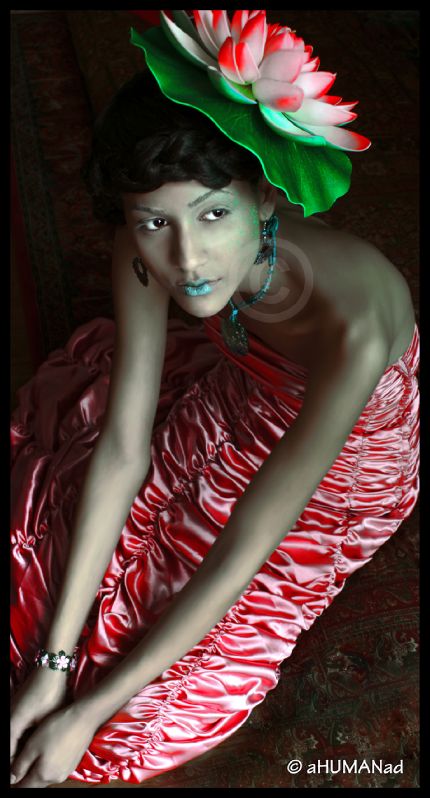 Xio V - waer lilly