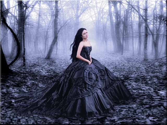 Dark Light - Nightshade