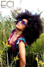K. Dionne