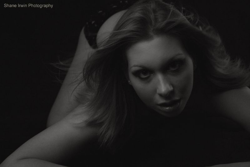Stella - SEX APPEAL