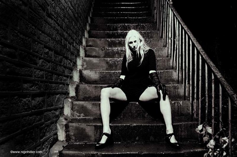 kittykat - kat stairs