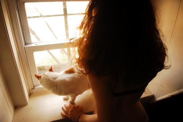 Ariel - Window Kitty