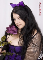 mean kitty - her kitty kitty