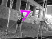 Candie