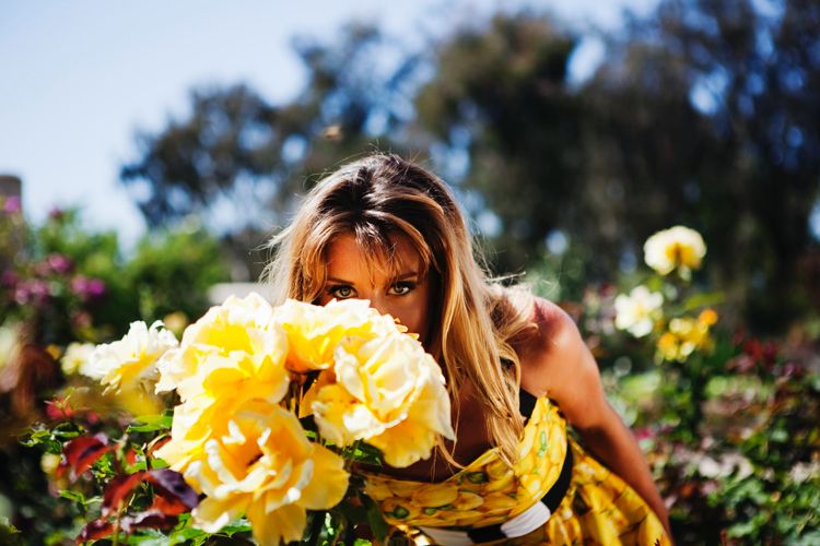 Micah Ellis - Yellow Flowers