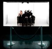 Matt Sims - bitter apple