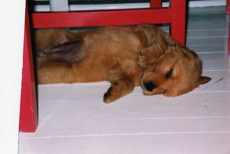 CraftyLassie - Sneaking