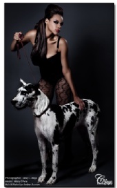 RedStallion - High Fashion