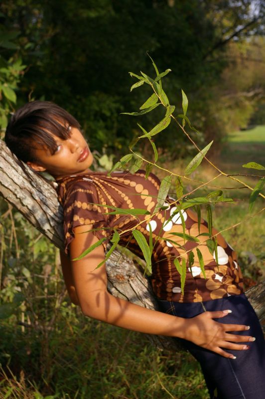 DAWN - in a tree