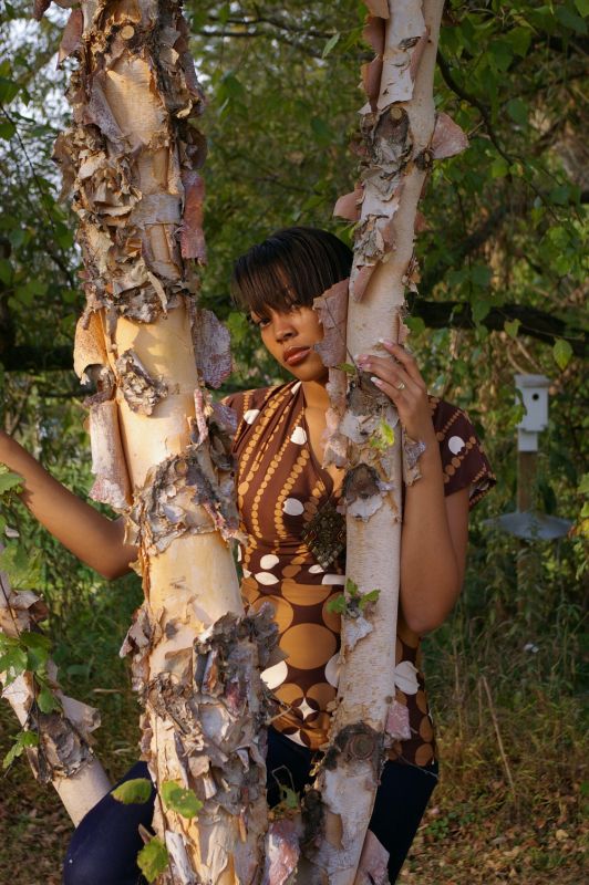 DAWN - in a tree