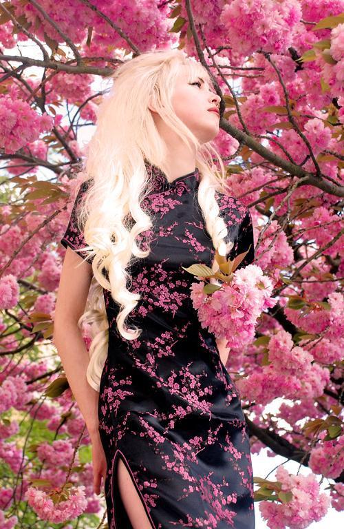 Enigma - Cherry blossom
