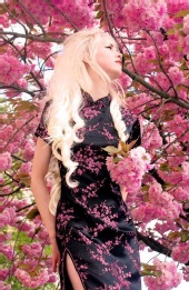 Enigma - Cherry blossom