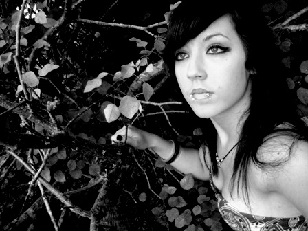 Kitten - just me