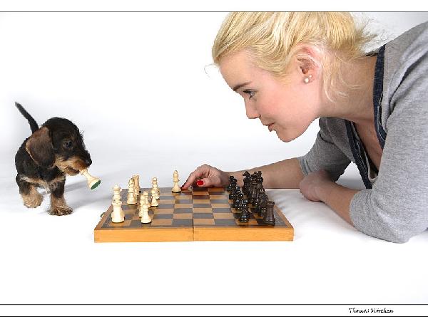 marina wenk - may I introduce - my dog Paula